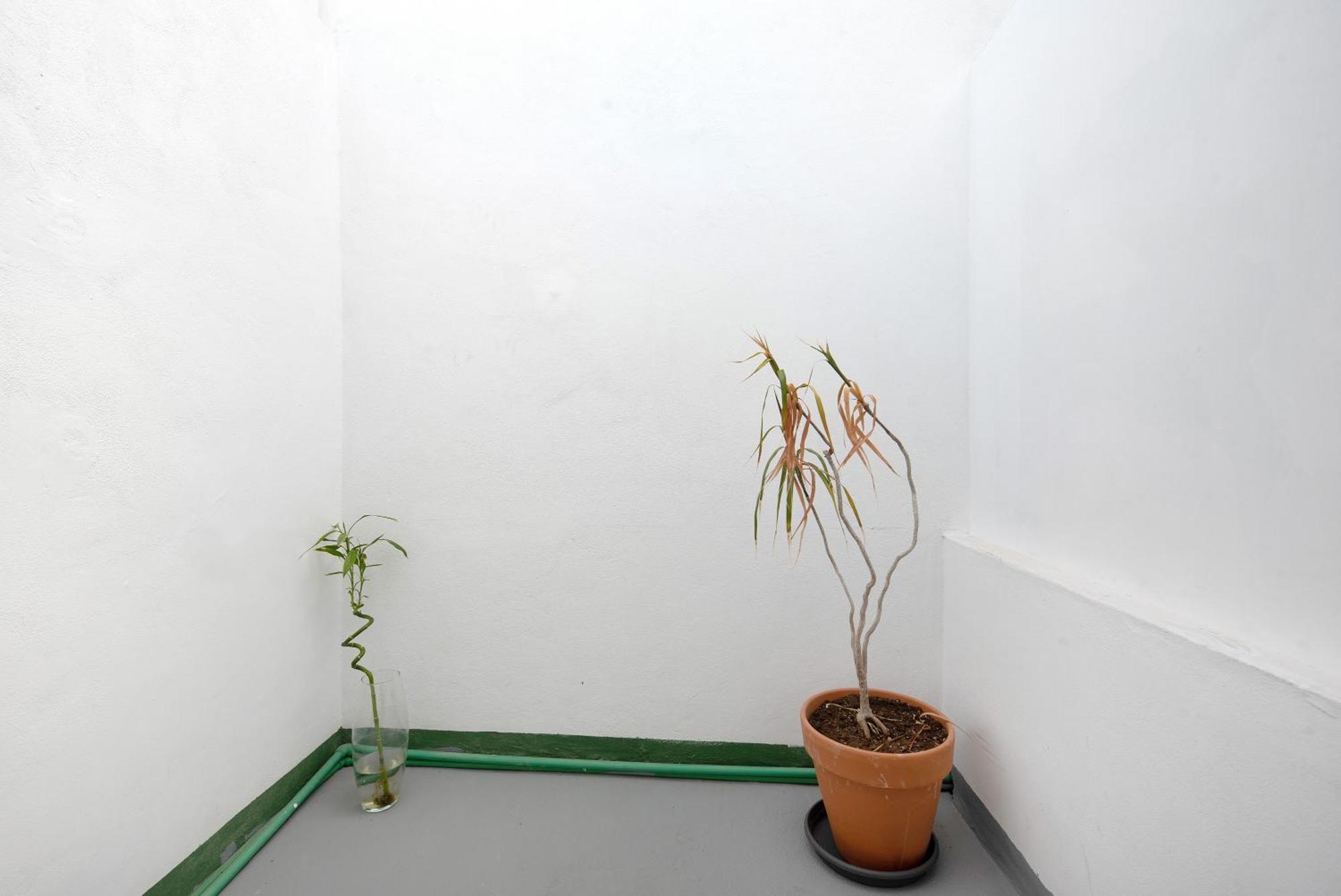 Apartamento Vista La Orotava Extérieur photo